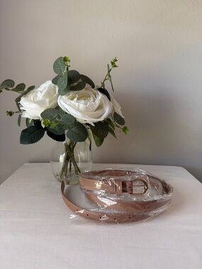 Women’s Plus Size Skinny Brown Belt